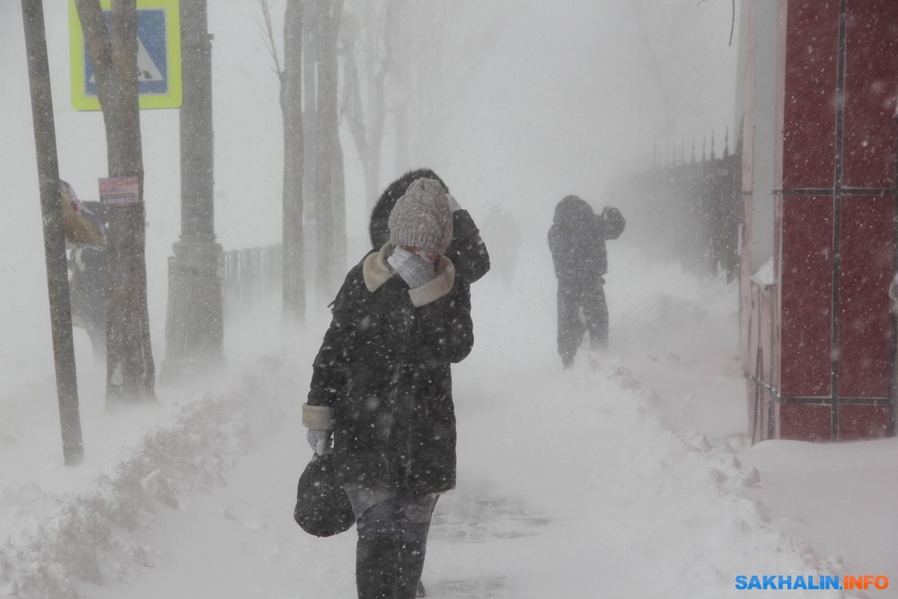 холодной метелью в сердце...
