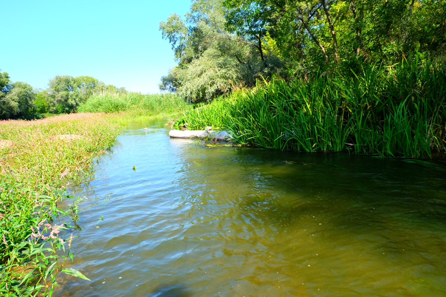 Откровение