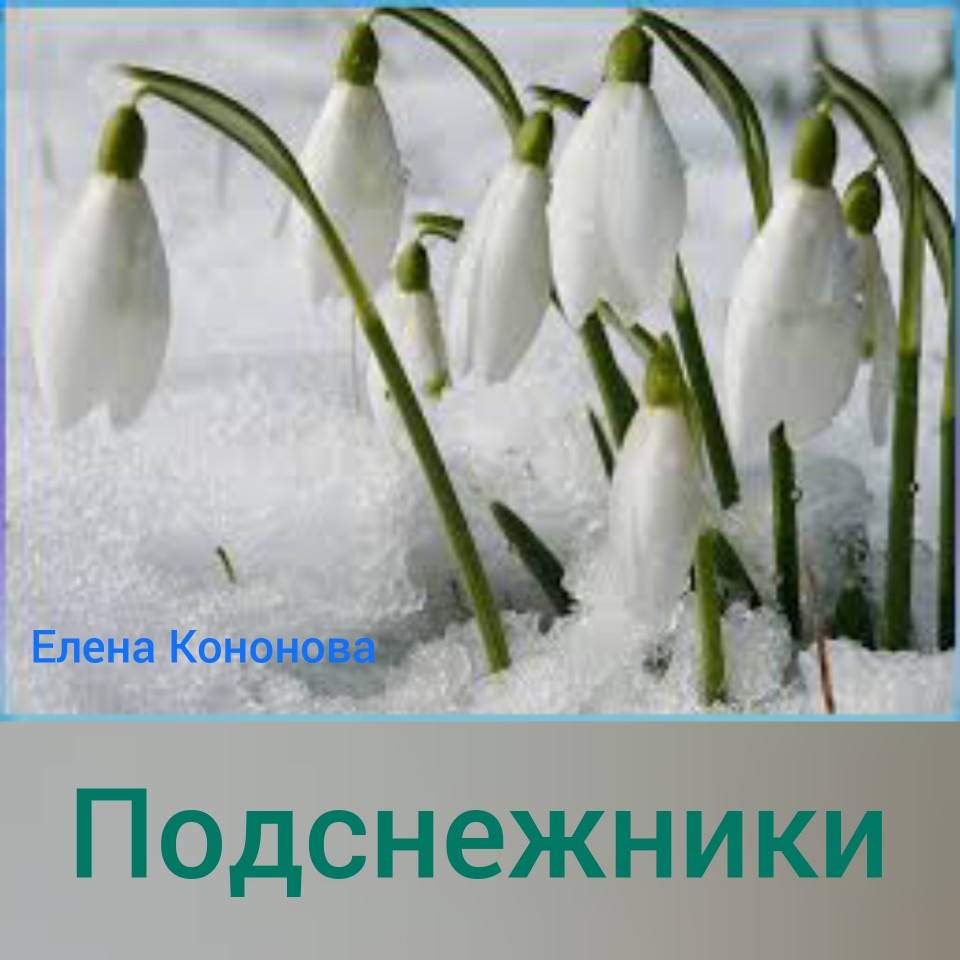 Подснежники