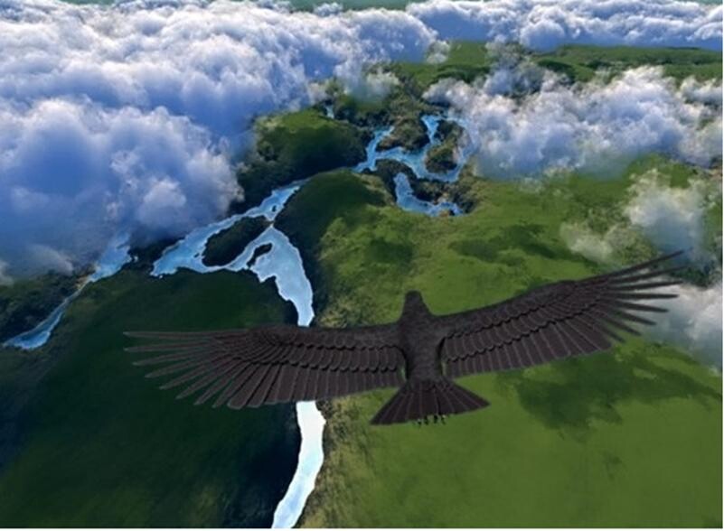 Если б мы были птицами