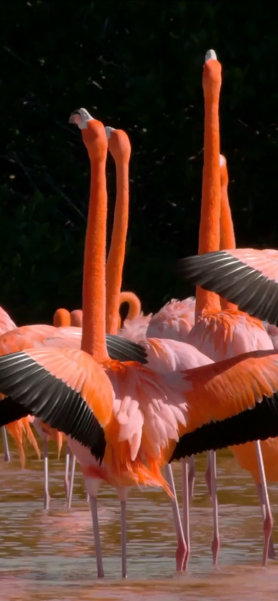 Слабость женщины