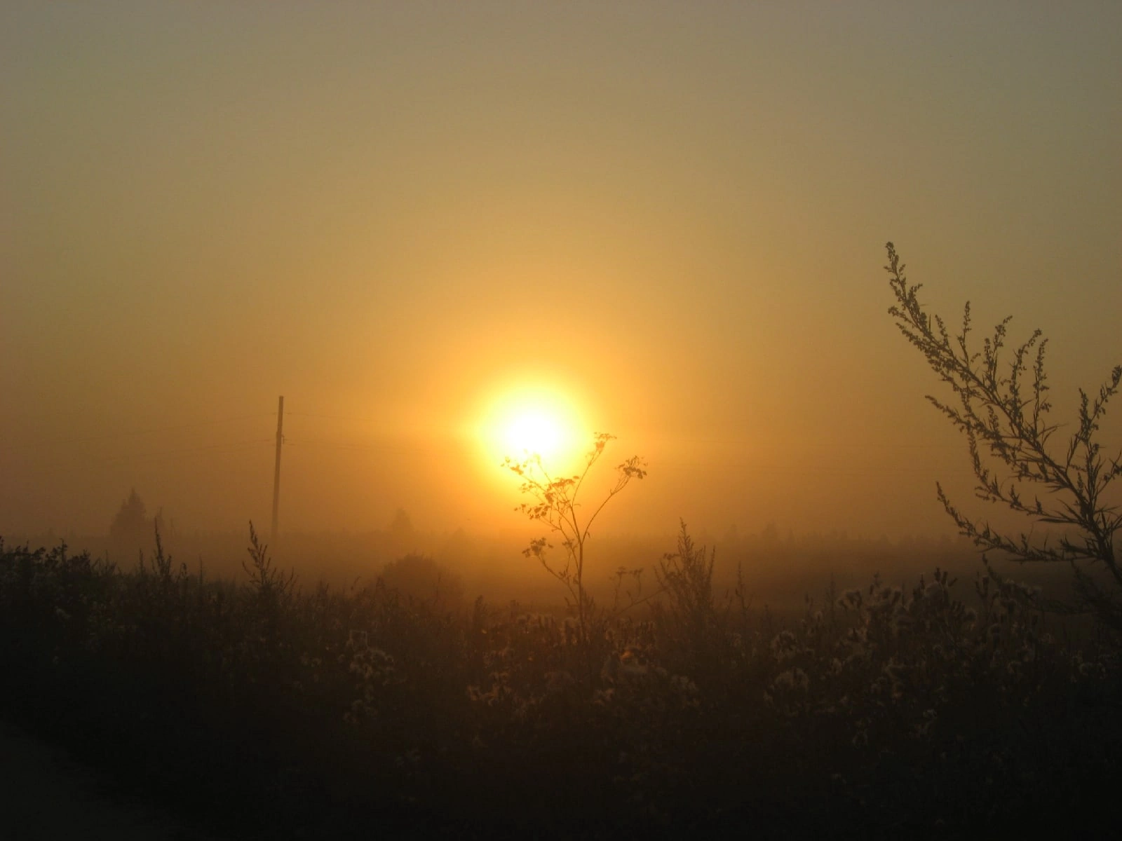 Во поле воин с гитарой