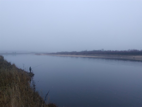 Ноябрьское