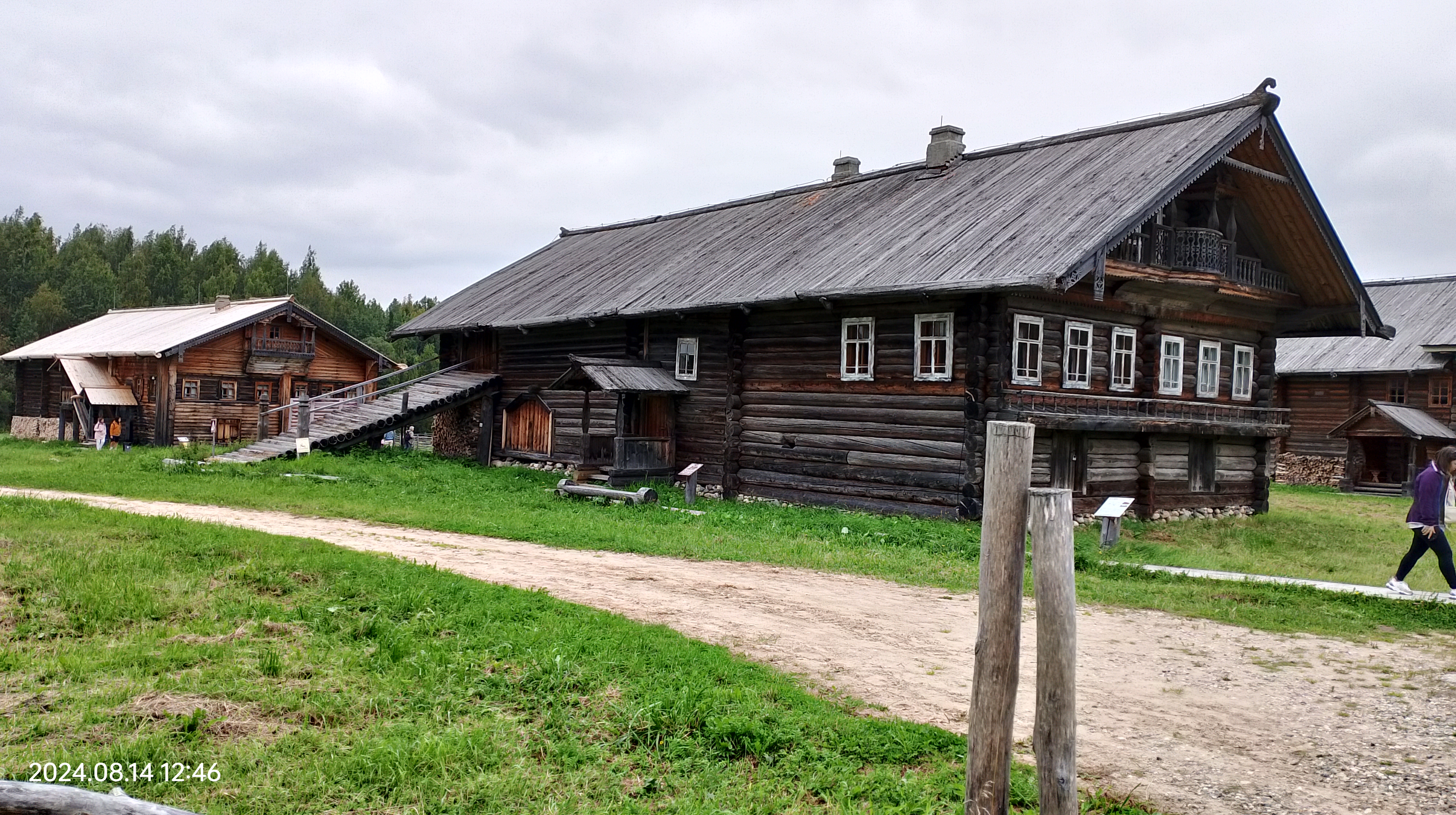 На севере сосновый, я, в землю врос