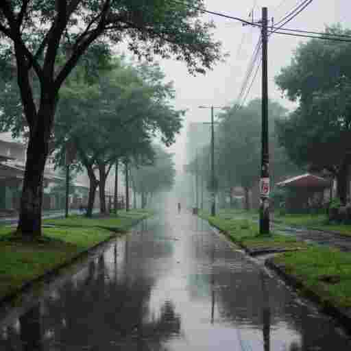 Журчат ручьи волнуется деревья