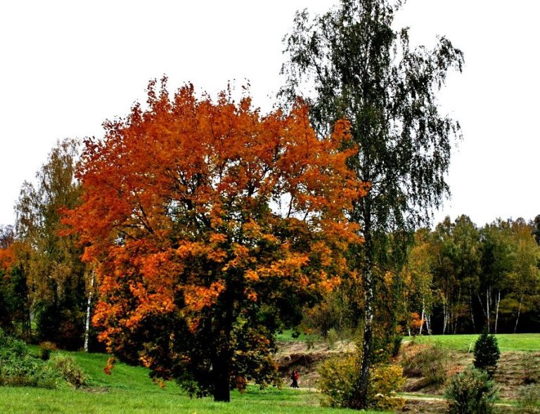 Осенняя любовь