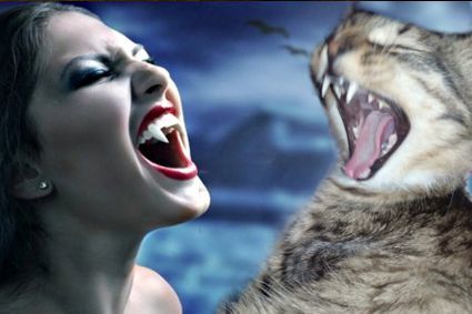 Кошечка Лилит