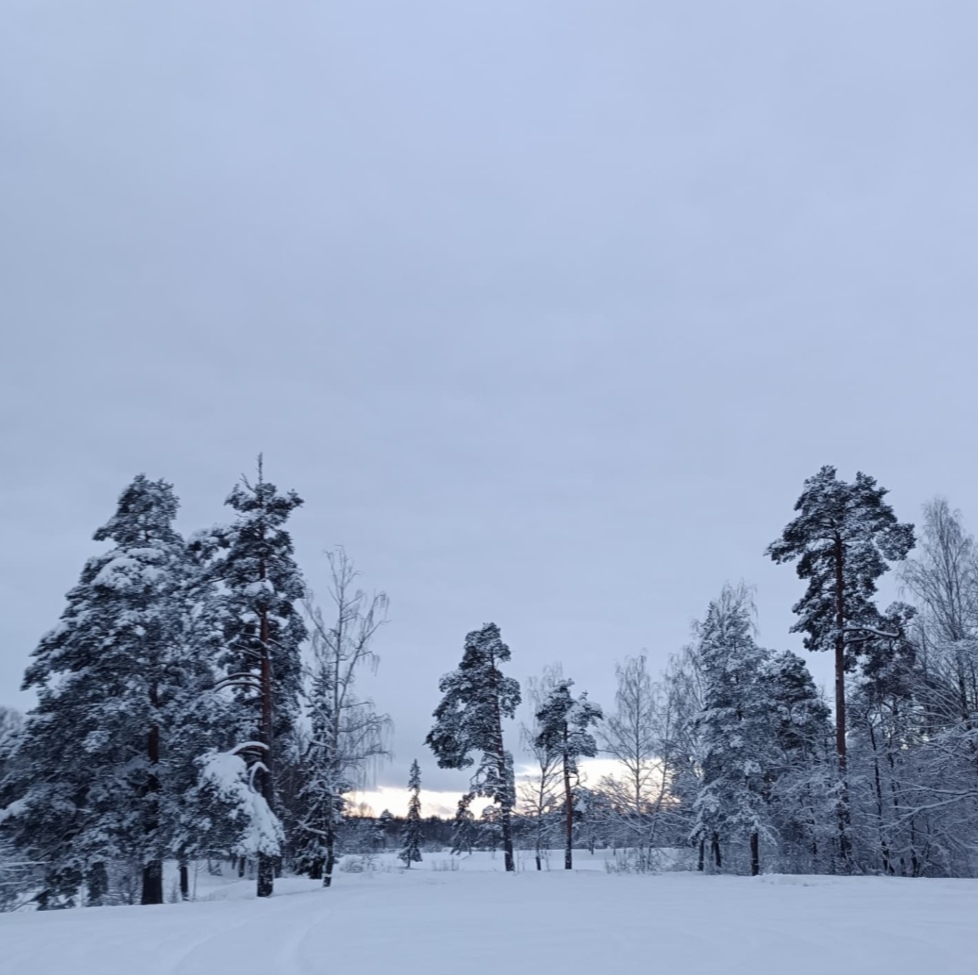 Зимняя сказка