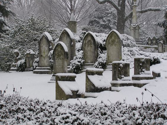 Да здравствует клоун!