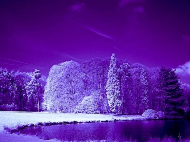 Зимним утром