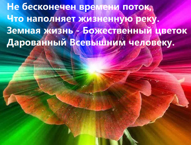 Земная жизнь- Божественный цветок