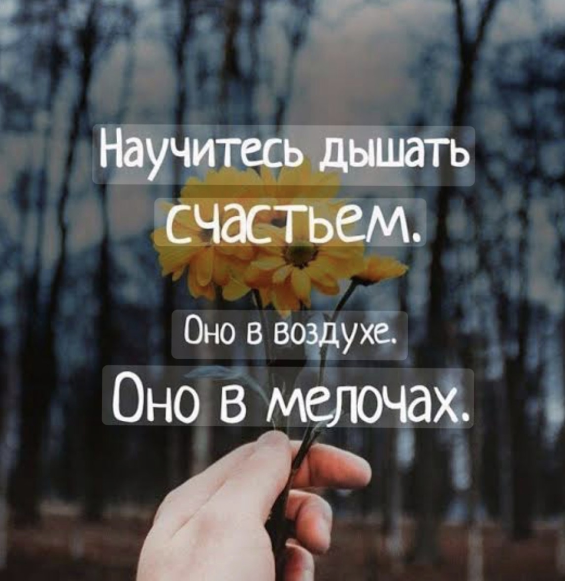 Счастье в мелочах 