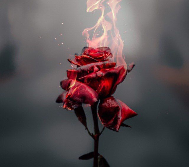 Моя Любовь!