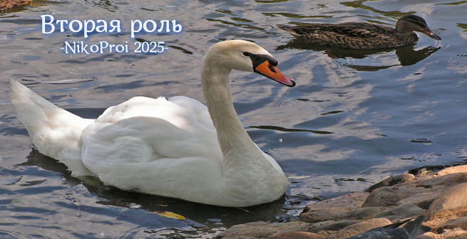 Вторая роль 