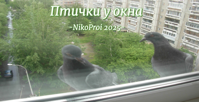 Птички у окна