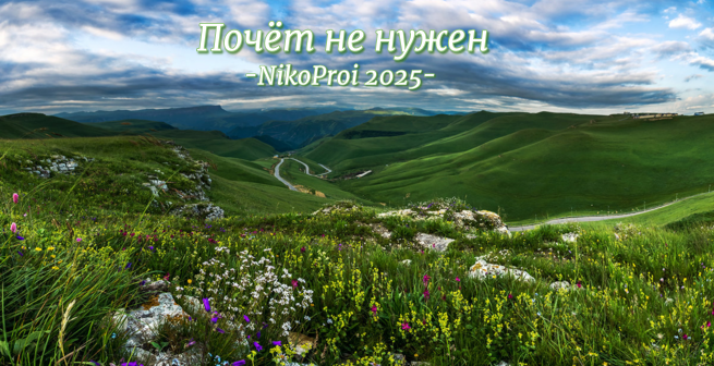 Почёт не нужен 