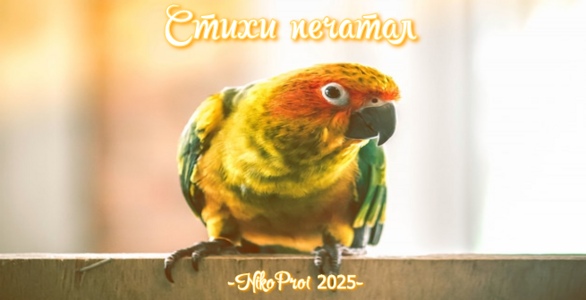 Стихи печатал