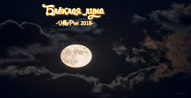 Блёклая луна