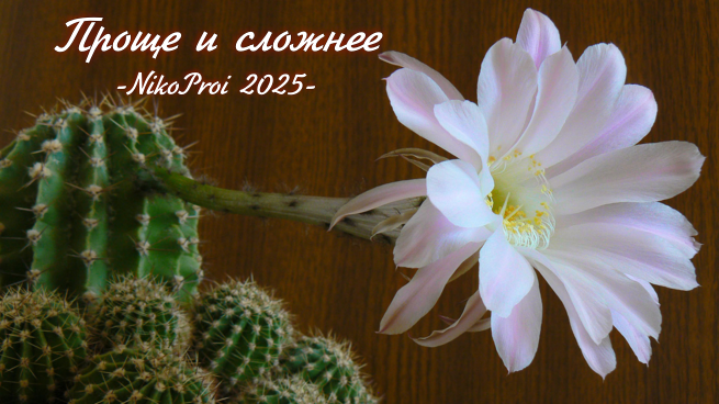 Проще и сложнее 