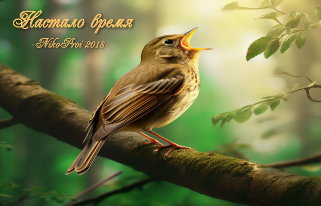 Настало время