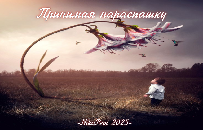 Принимая нараспашку