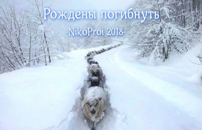 Рождены погибнуть