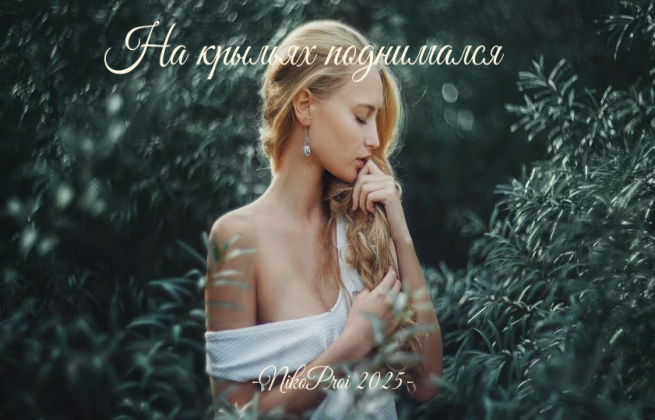 На крыльях поднимался 