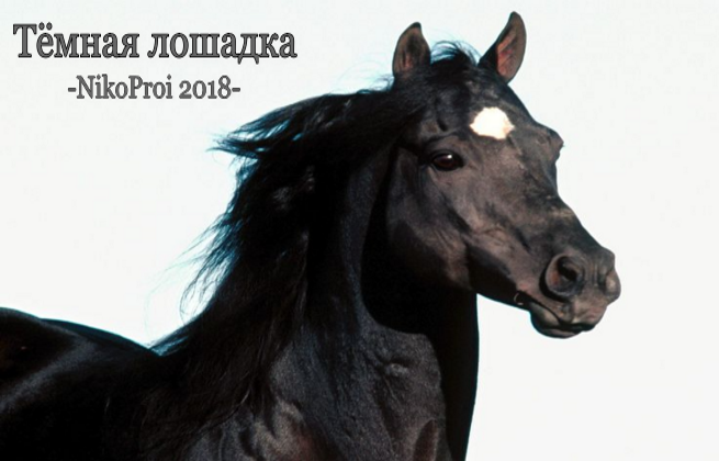Тёмная лошадка 