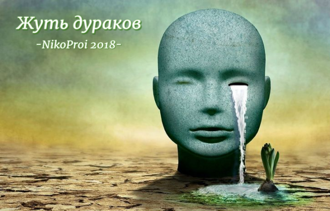 Жуть дураков