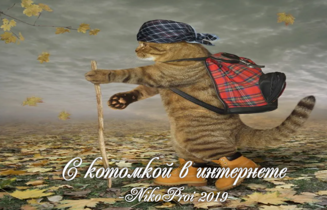 С котомкой в интернете