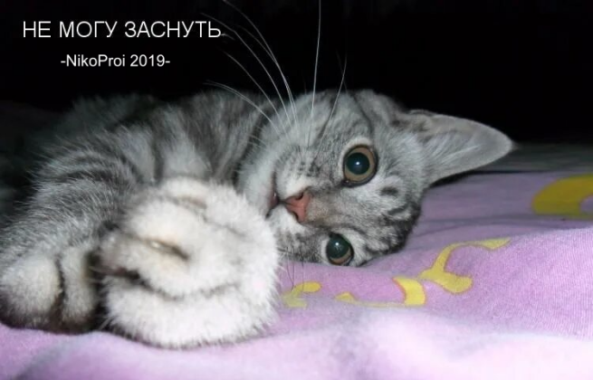 Не могу заснуть