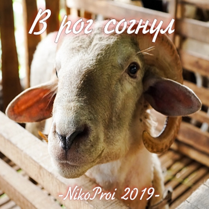 В рог согнул