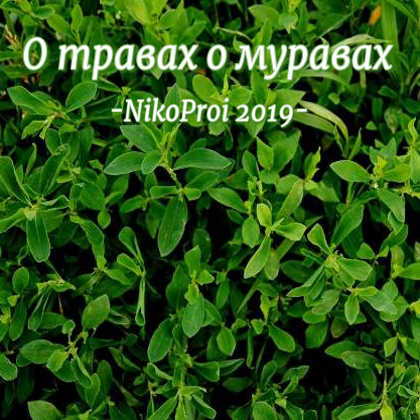 О травах о муравах