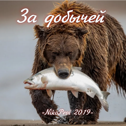 За добычей