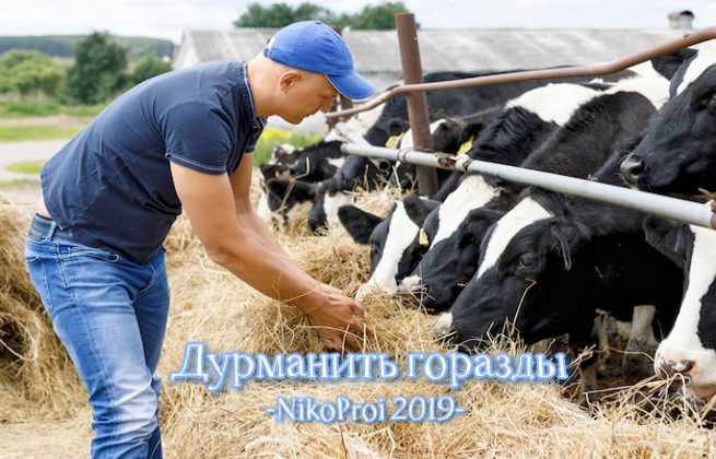 Дурманить горазды