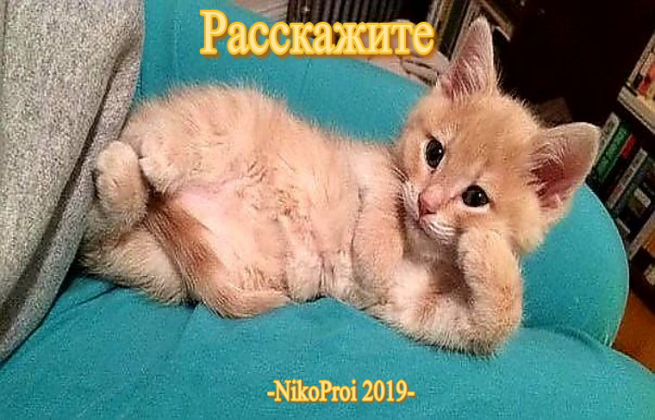 Расскажите