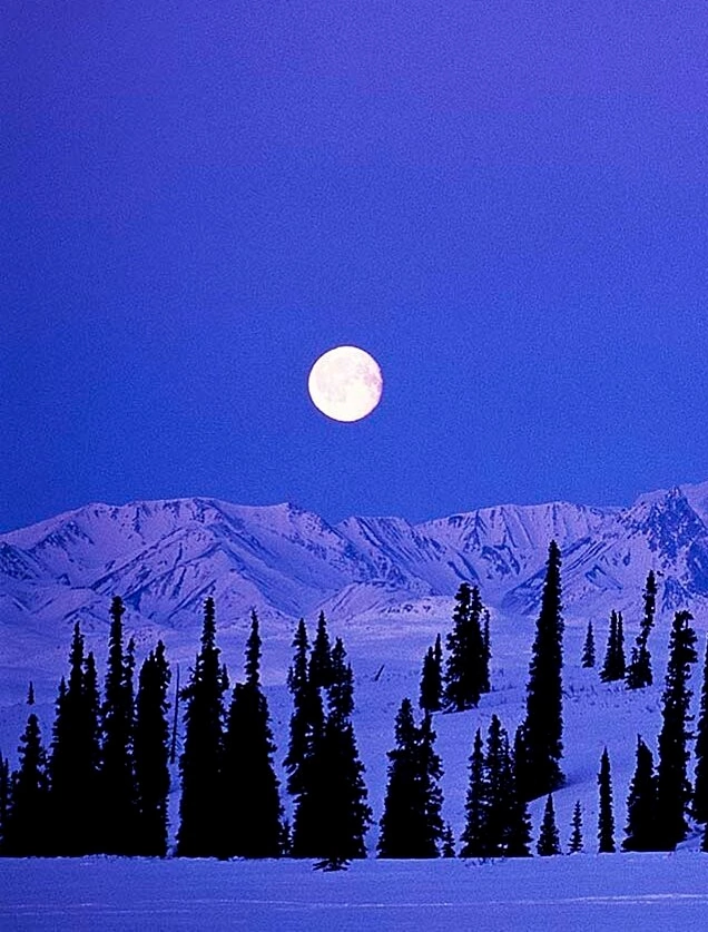 Ночь в рельефной окантовке 