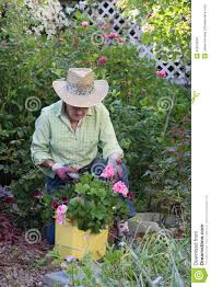 Два садовника