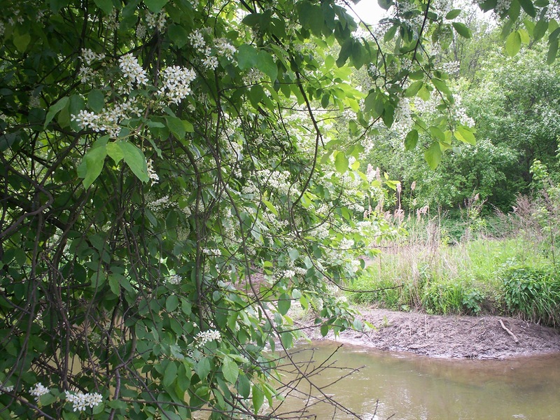 Красный Берег зовёт