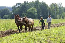 Пусть жизнь, пиная нас, сломает себе ногу