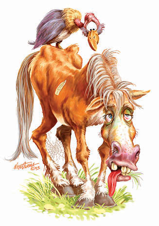 Старый конь борозды не портит