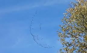 Над забытым одиночеством