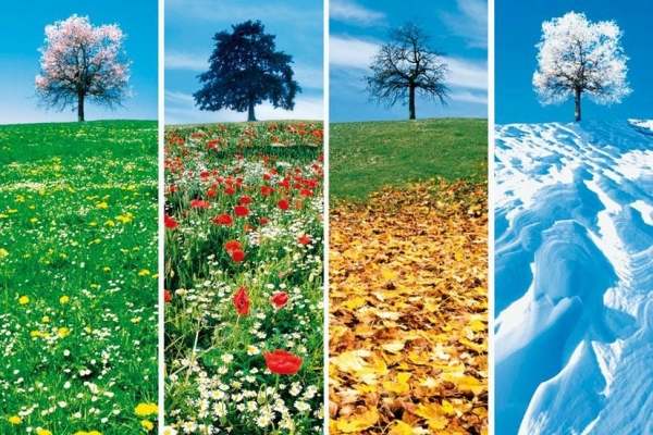 Поэтический календарь природы