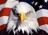 Американскому ястребу
