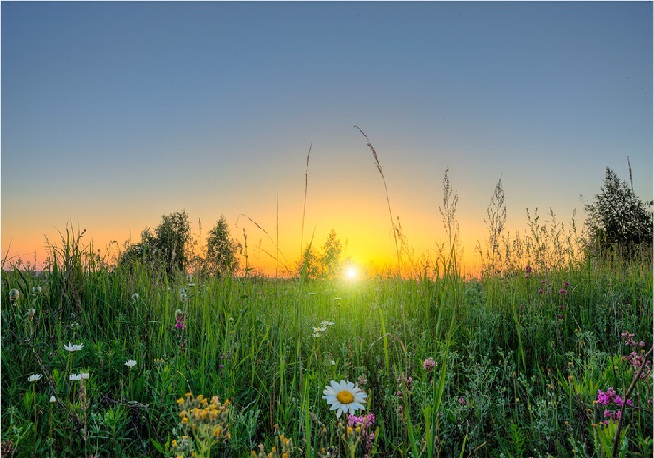 Кому я нужен в грозных Штатах?