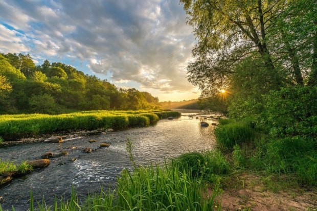 РАННЕЕ УТРО... зарисовка