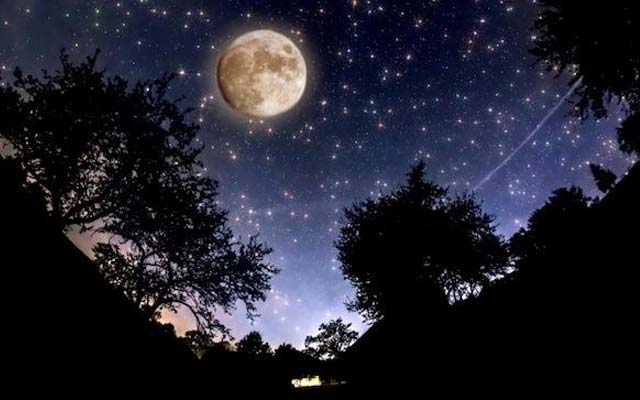 Выйди ночью в поле !!!