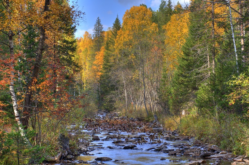 Осень , Муза и Вальс Бостон 