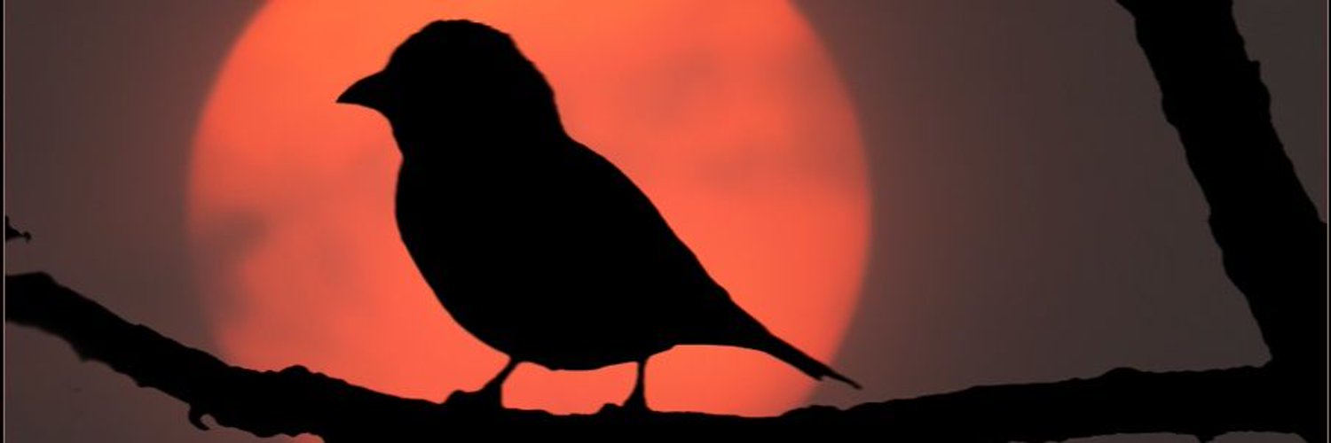 А красота всё-таки есть 