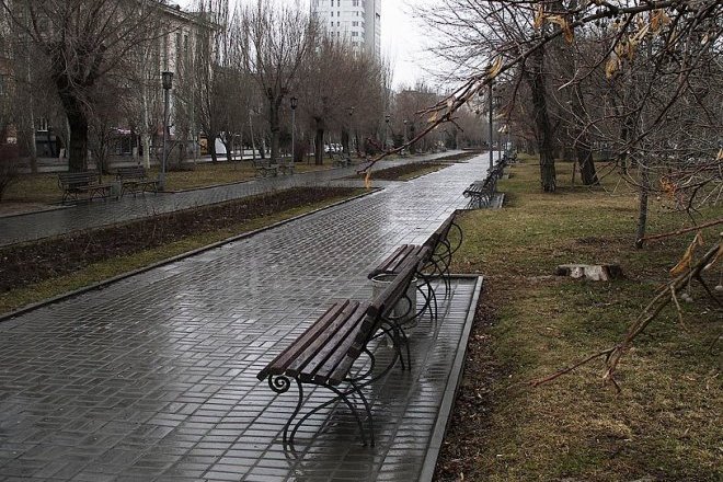 Поэза Дождя